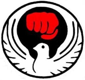 Traditional Wado Ryu Karate